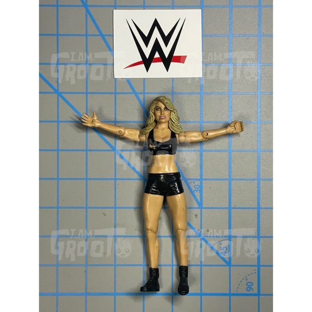 WWE Trish Stratus Action Figure 2004 Jakks Pacific Vintage WWF Wrestling